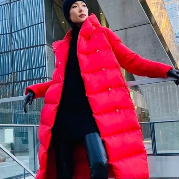 ARITZIA Babaton Duvet Puffer NWOT - Picture 2 of 7